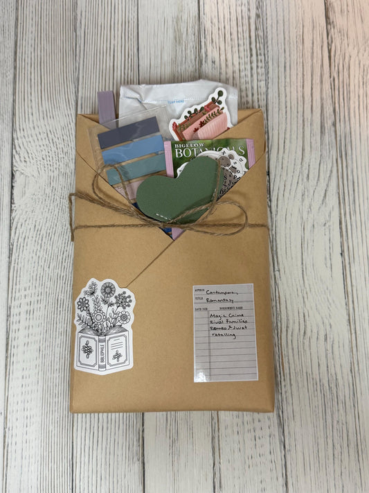 Blind Date With a Book | Mystery Wrapped Book Gift | Romance, Thriller, Fantasy & More!