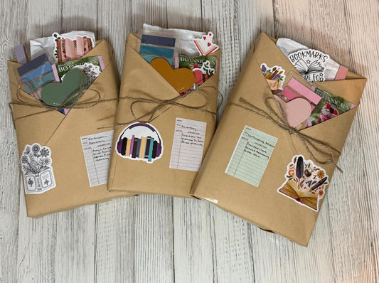 Blind Date With a Book | Mystery Wrapped Book Gift | Romance, Thriller, Fantasy & More!